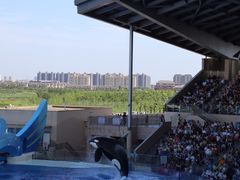 -上海海昌海洋公园