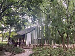 -汇龙潭