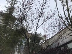 -山湖温泉