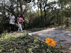 -青龙山国家森林公园