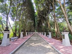 -广东茂名森林公园