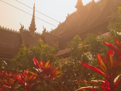 -西双版纳傣族园