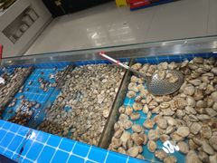 -集杰尚品海鲜烤肉自助餐厅(乳山振华店)