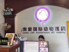 -宠爱国际动物医院·疑难骨科·心肾内科·皮肤科(太阳宫店)