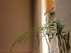 -梅间堂茶馆(绿地缤纷城店)