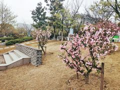 -江南大学(蠡湖校区)