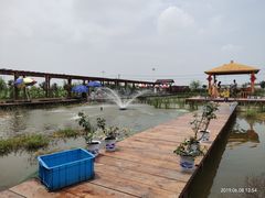 -同銮特种养殖场·龙虾垂钓