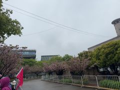 -嘉定紫藤园