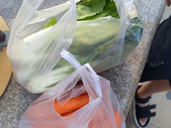 -鄂尔多斯野生动物园