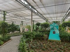 -南宫五洲植物乐园