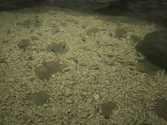 -北海·海洋之窗