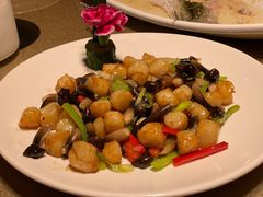 -天福苑(崇宁路店)