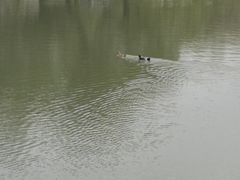 -西安市长乐公园