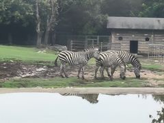 -西安秦岭野生动物园
