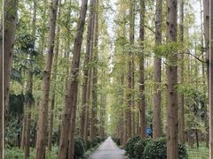 -上海怡沁园度假酒店
