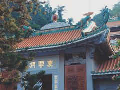 -南海湾森林生态园