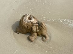 -查汶海滩