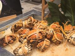 -太湖饭店玉兰厅(自助餐厅)