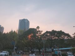 -南山图书馆(常兴路店)