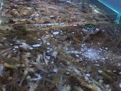 -聚盛源蒸汽海鲜火锅烤肉自助(巨川金海岸购物广场店)