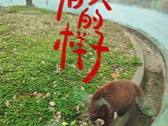 -无锡动物园·太湖欢乐园