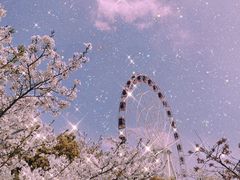 -顾村公园