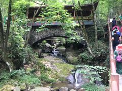 -藏龙百瀑风景区