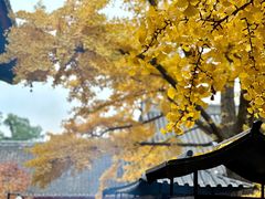 -红螺寺