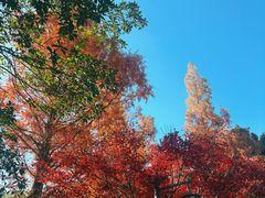 -敬亭山风景名胜区