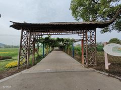 -苏州太湖西山岛开心农场