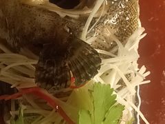 -西安绿地假日酒店·丽宝轩中餐厅