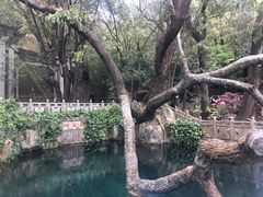 -蝴蝶泉公园