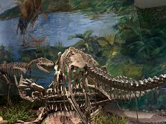 -自贡恐龙博物馆