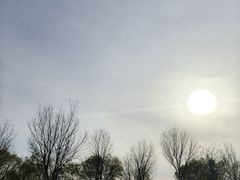 -丁香湖公园