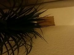 android_upload_pic-双廊碎片·吾乡海景度假公馆