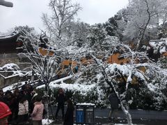 -鸡鸣赐茶(鸡鸣寺路店)