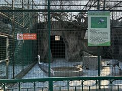 -保定市动物园