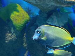 -石林冰雪海洋世界