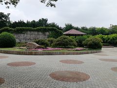 -嘉定紫藤园