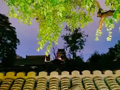 -丽江庭院·云南野生菌·海鲜火锅(鼓楼四合院店)