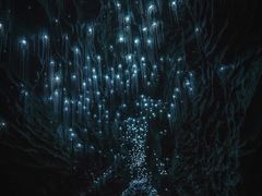 -怀托摩萤火虫洞