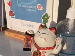 -艾贝尔宠物医院·宠保定点·超声绝育·免疫点(樱花路店)
