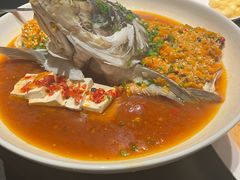 -凤凰湘语(浦东旗舰店)