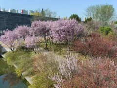 -洛阳市隋唐城遗址植物园