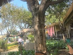 -苏记溪河鲢鱼庄(天府新区店)