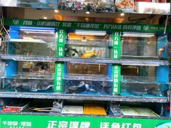 -浔味·山屿湖·正宗淳牌全鱼宴老字号