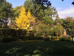 -徐家汇源景区-衡山公园