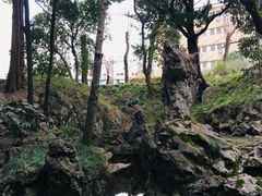 -叶家花园