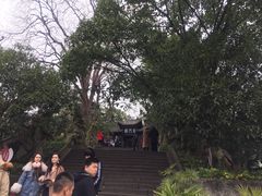 -丰都鬼城名山景区