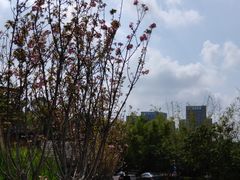 -观澜山水田园